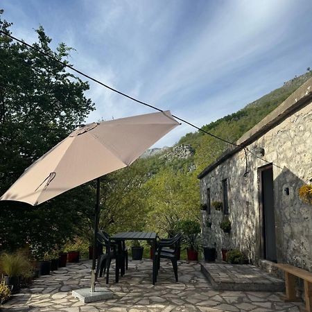 Nature Escape Montenegro โกตอร์ ภายนอก รูปภาพ