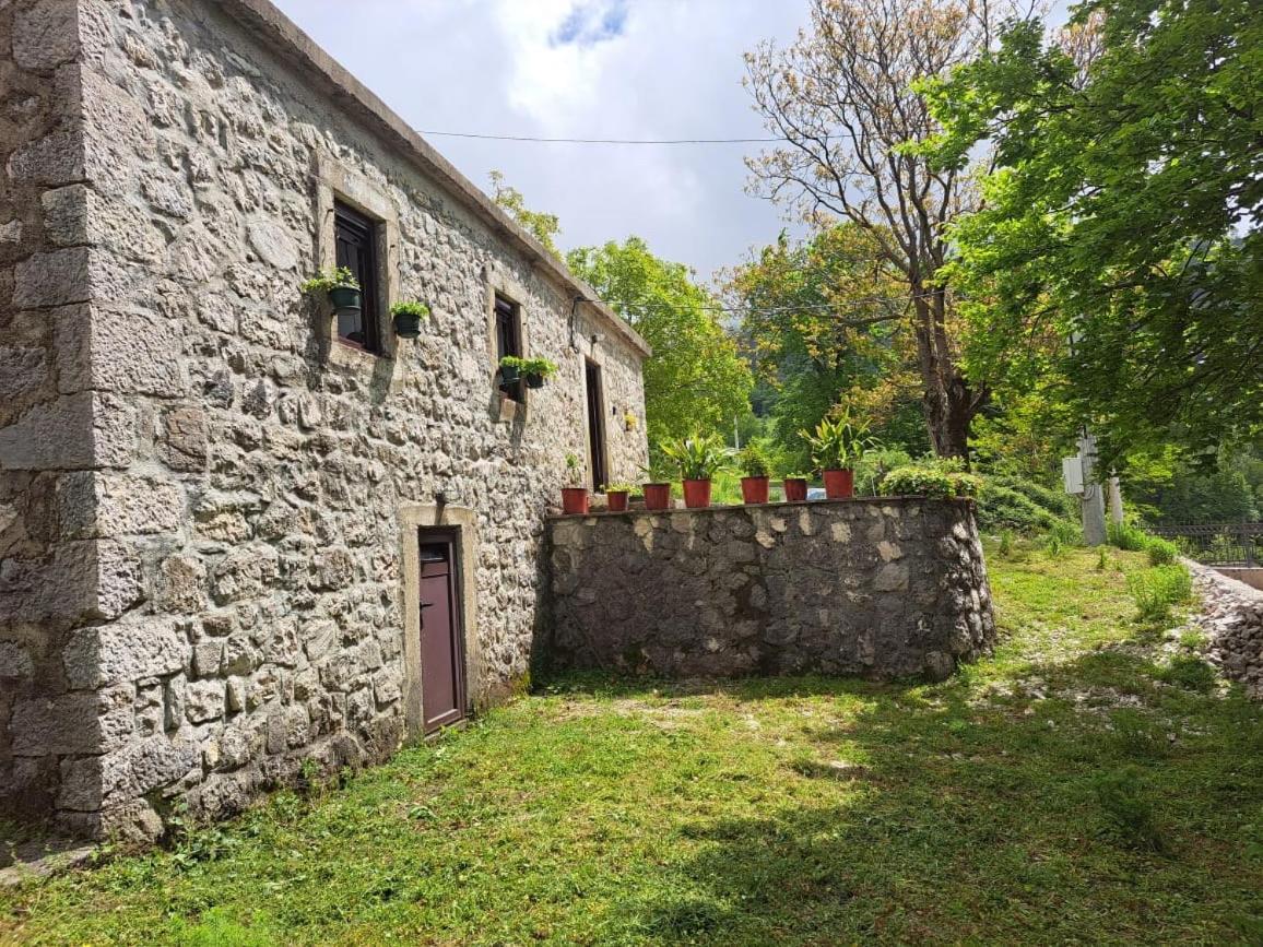 Nature Escape Montenegro โกตอร์ ภายนอก รูปภาพ
