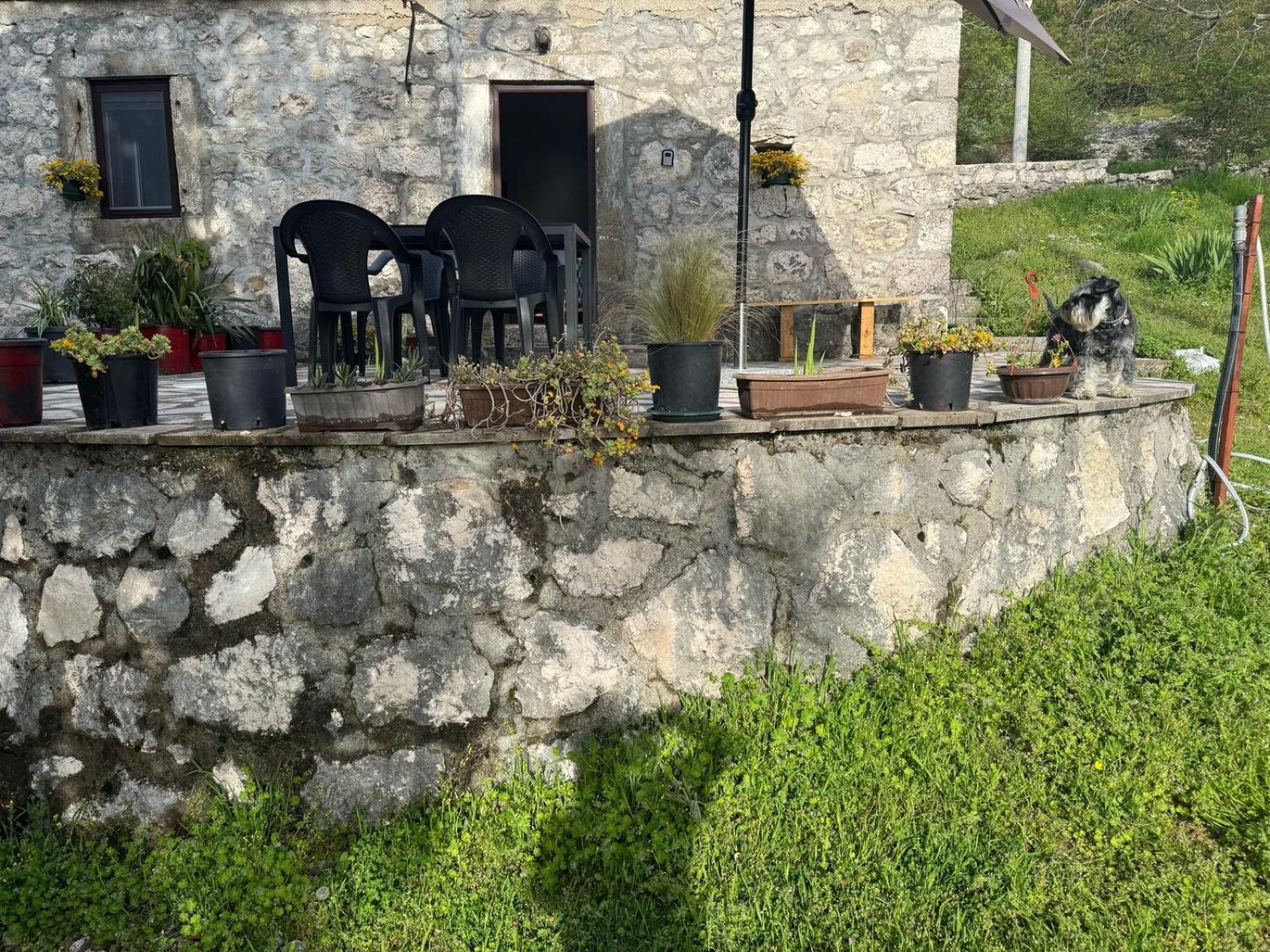 Nature Escape Montenegro โกตอร์ ภายนอก รูปภาพ